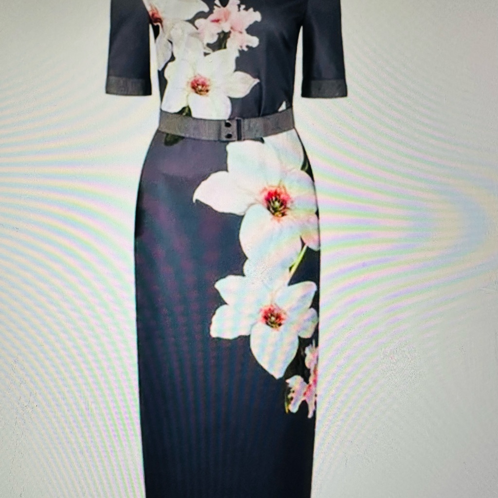 Ted Baker London Bisslee Chatsworth Floral Dress